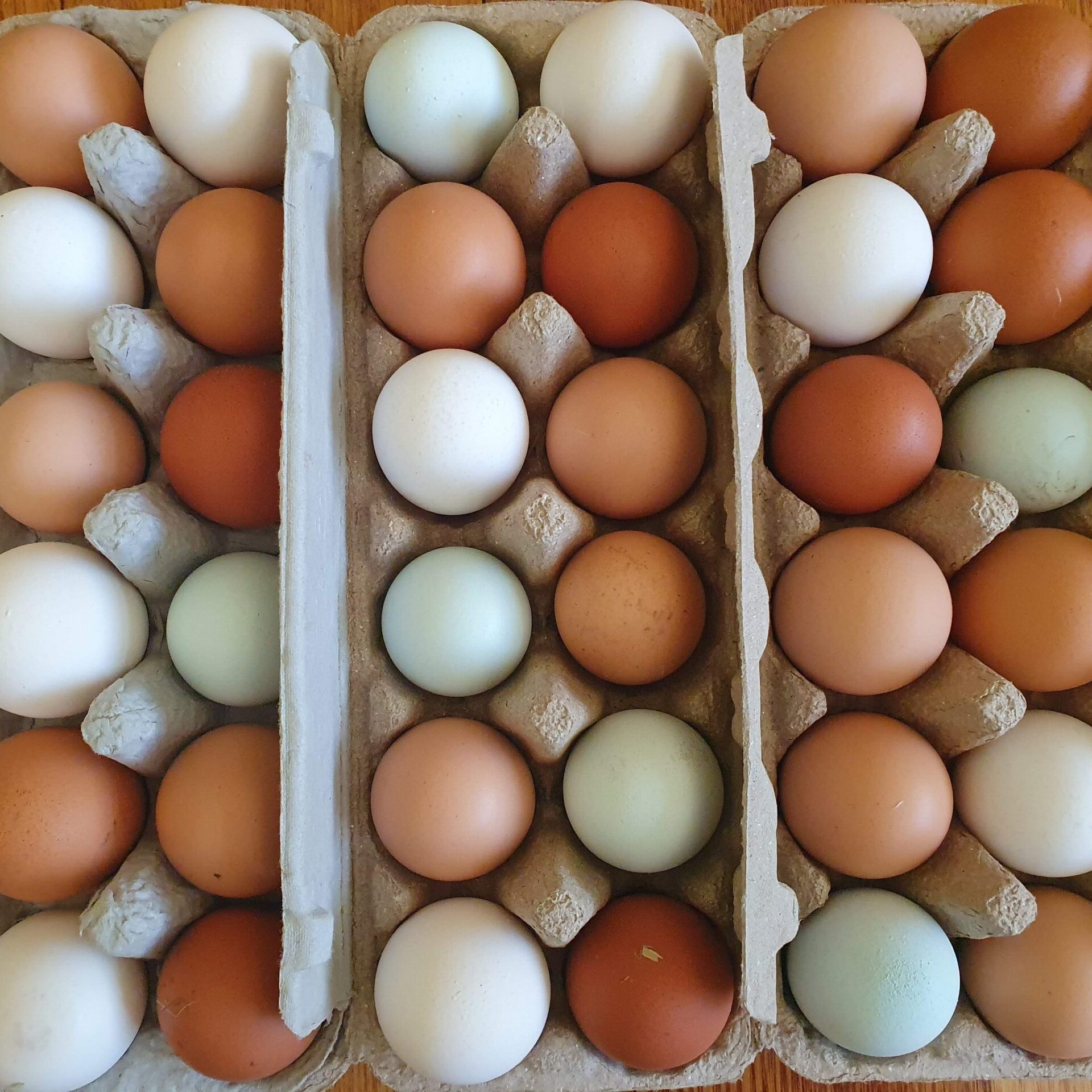 Local free-range eggs – 1 dozen